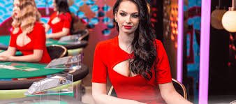 7vip bet