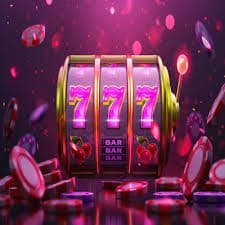 7vip bet