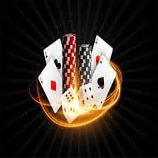 7vip bet